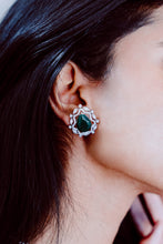 Load image into Gallery viewer, ROXI