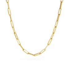 Load image into Gallery viewer, LINSEY