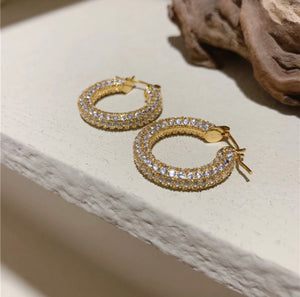 Roya Hoops