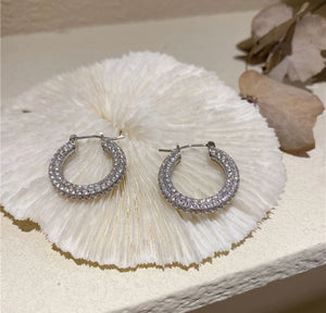 Roya Hoops