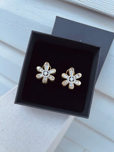 DAISY