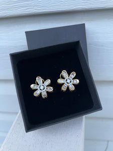 DAISY